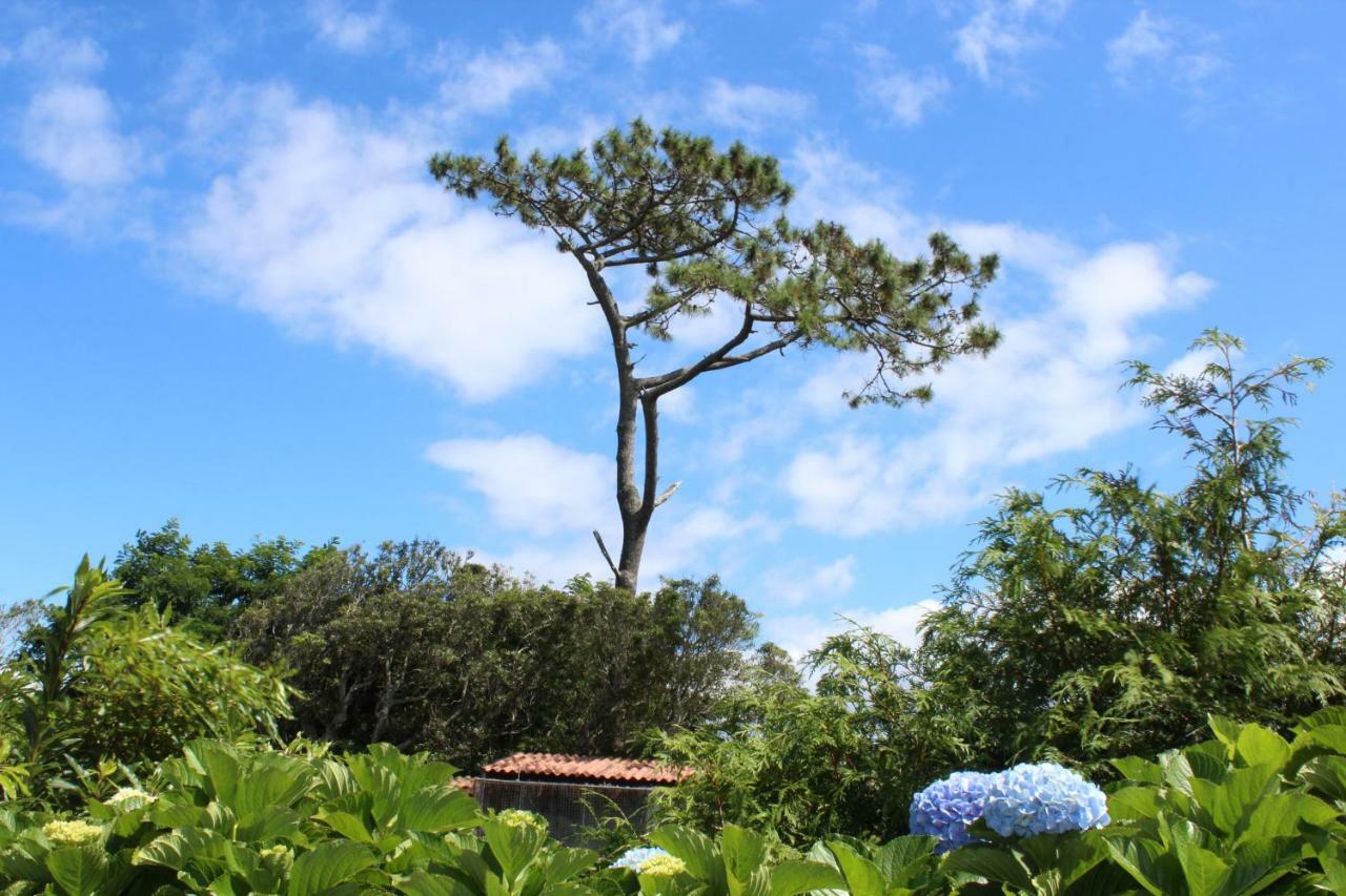 فيلا كابيلاسفي Quinta Do Torreao المظهر الخارجي الصورة